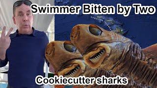 All known cookiecutter shark attacks. 2023 Swimmer tosses attacking Cookiecutter Sharks