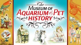 Introduction to the Museum of Aquarium and Pet History