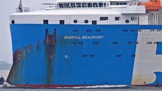 81 MINUTES OF GREAT SHIPSPOTTING AT ROTTERDAM PORT - 4K SHIPSPOTTING JUNE 2024