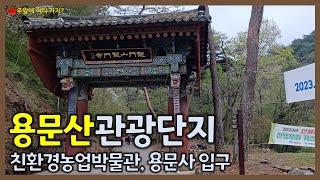 용문산관광단지 | 양평친환경농업박물관 | 경기도 양평군