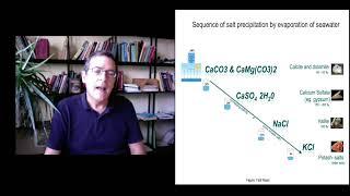 What caused the largest environmental change in 65 million years? A mechanistic approach to the MSG