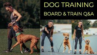 CANINE PERFORMANCE | DOG TRAINING & REACTIVITY Q&A