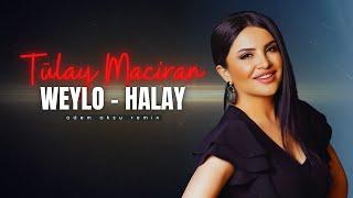 Tülay Maciran - Weylo Kürtçe Halay Remix | Türkü Trap Remix 2024