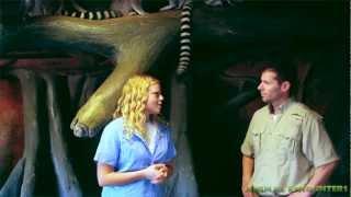 Animal Encounters (Episode 2) Ringtail Lemurs