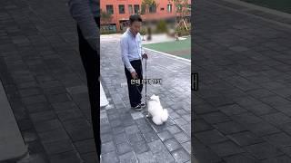 100만어린아이 보면 짖고 달려드는 강아지 행동교정법