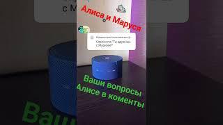 яндекс станция Алиса|приколы 2023|пранк#shorts