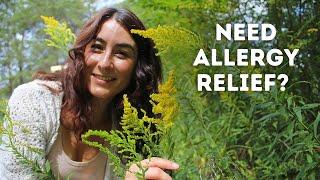 My SECRET allergy hack- Goldenrod Infused Honey!