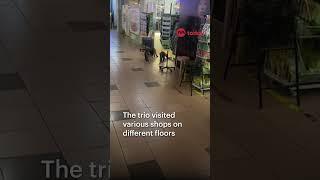 Otters spotted wandering around People's Park Centre