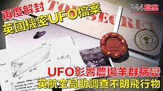 雲海 · UFO影響農場羊群病變 l 英航空局助調查不明飛行物 #雲海