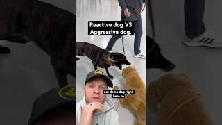 Whats the difference between a reactive dog and a aggressive dog?