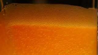 James Ehlenz - Beer's Here