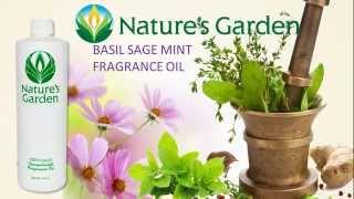 Basil Sage Mint Fragrance Oil - Natures Garden