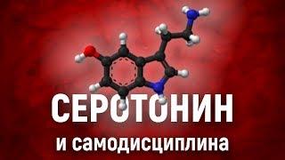 Как серотонин влияет на САМОДИСЦИПЛИНУ. Химия силы воли