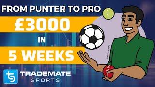 My Journey from Punter to Professional Sports Bettor | Making £3k in 5 weeks using Trademate