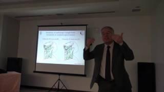 Contouring in Head and Neck Cancer for iMRT - Tomotherapy (by Prof. Vincent Gregoire)