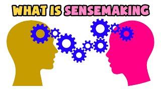 What is Sensemaking | Explained in 2 min