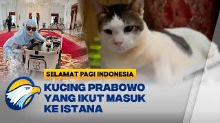 Bobby Kertanegara, Kucing Prabowo yang Ikut Masuk ke Istana - [SELAMAT PAGI INDONESIA]