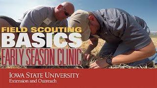 Field Scouting Basics Workshop