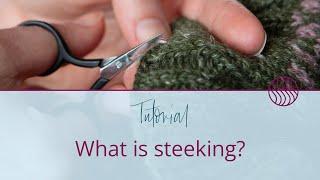 STEEKING! What, Where, When & How? Exploring This Daunting Knitting Technique