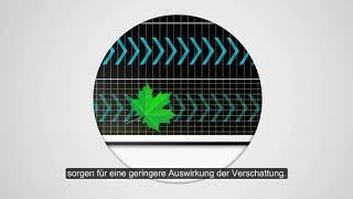 SunPower Verschattung Solarmodule Performance