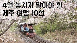 4월 놓치지 말아야 할 제주여행  10선