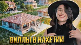 Супер-предложение - виллы с виноградником в Кахетии. Уникальная недвижимость в Грузии. $350 000