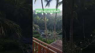 #wakingupearly #morning in #bali #ubud #2024