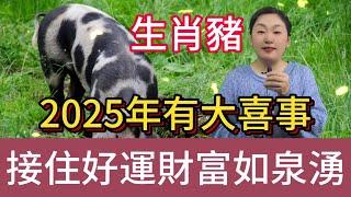 2025 乙巳蛇年，生肖豬撞上大喜，屬豬之人快來，尤其是這個大驚喜！絕對超乎想象！共赴福運之旅！#風水 #生肖 #運勢 #佛教