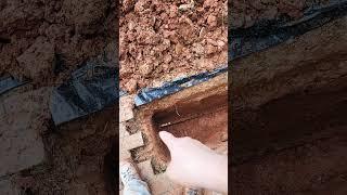 How to fix your old water supply line! #DIY