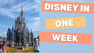 We Spent a Week at Disney World-Tiana’s, Country Bear and More