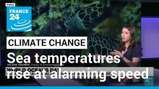 Climate change: Oceans warmer last month than any May on record • FRANCE 24 English