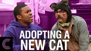 Adopting a New Cat