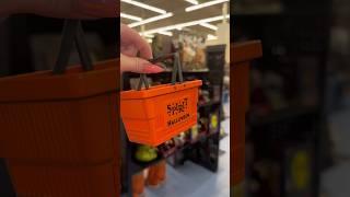 Mini Spirit Halloween #minivlogs #halloween #miniature #spooky #spirithalloween