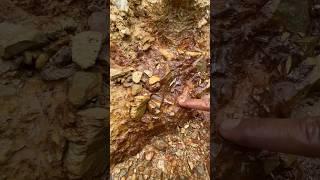 So Crazy..! we got $900 from this stone. Finding pure gold dust from rare stones. #golddiscovery