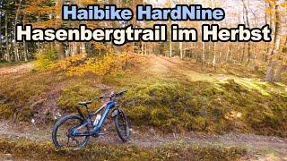 Hasenbergtrail im Herbst | Haibike HardNine E-MTB