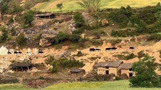 Very Simple and Beautiful Nepali Mountain Life || Very Happy Village Lifestyle || IamSuman