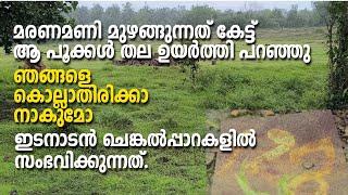 Onapookkal | Laterite rocks |  മരണമണി മുഴങ്ങുന്നത് കേട്ട് ആ പൂക്കൾ തല ഉയർത്തി പറഞ്ഞു,  ഞങ്ങളെ