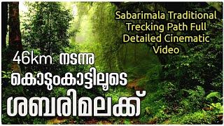 Erumeli Karimala Pampa Forest Route | Sabarimala Traditional Trekking Path | Periyar Tiger Reserve