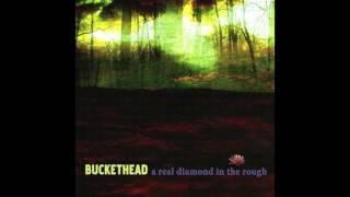 (Full Album) Buckethead A Real Diamond in the Rough