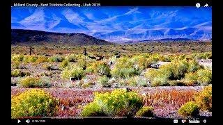 Millard County, Utah - Best Trilobite Collecting