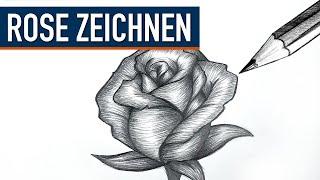 Rose Zeichnen - Komplette Zeichenübung für deine Bleistiftzeichnung - Zeichnen lernen mit DrawTut