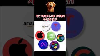 최근1주일 미 시총 상위종목 자산증가는? #shorts