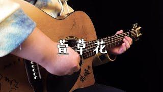 【Fingerstyle】张小斐《萱草花》（电源《你好，李焕英》主题曲）