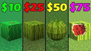 minecraft for 0$ vs 10$ vs 25$ vs 50$ vs 100$