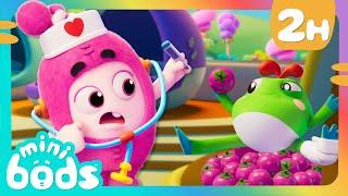 Newt's Froggy Day Care  |  Minibods  | Preschool Cartoons for Toddlers