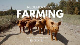 Regenerative Agriculture | What A Truly Regenerative Farm Looks Like