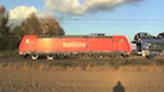 Brühl - Walberberg, BR145, BR185, 2x Locon SBB Re482, ICE, 2x BR101, 2x BR460