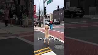 이거 AI 일까요?