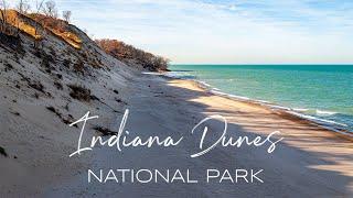 Explore Indiana Dunes: One of America's Most Diverse and Underrated National Parks