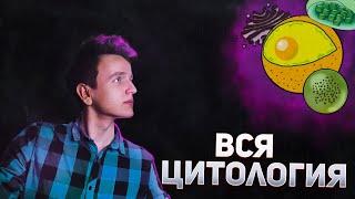 ЦИТОЛОГИЯ ЗА 15 МИНУТ | ЕГЭ БИОЛОГИЯ 2023